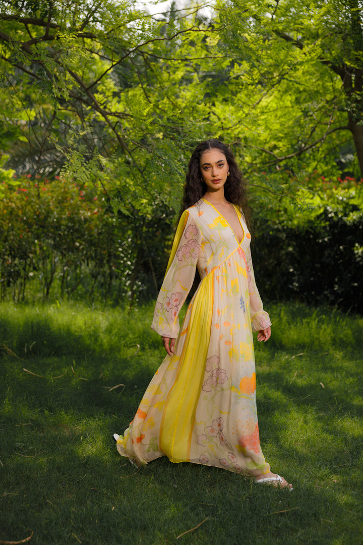 Avni Long Dress