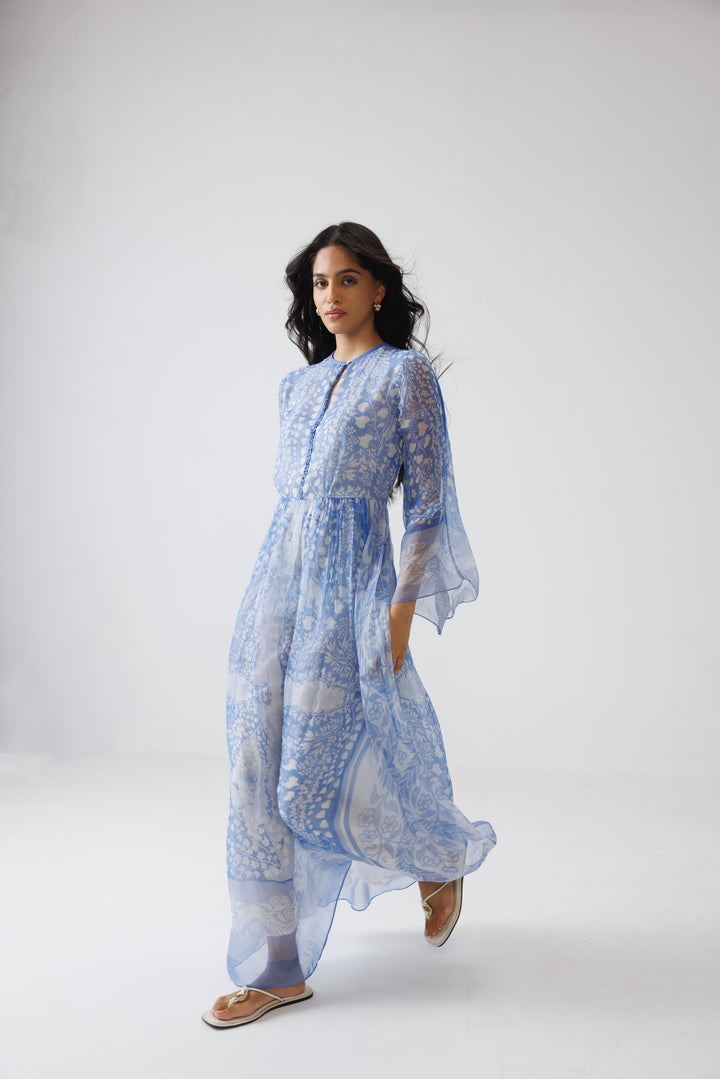 Pavni Long dress