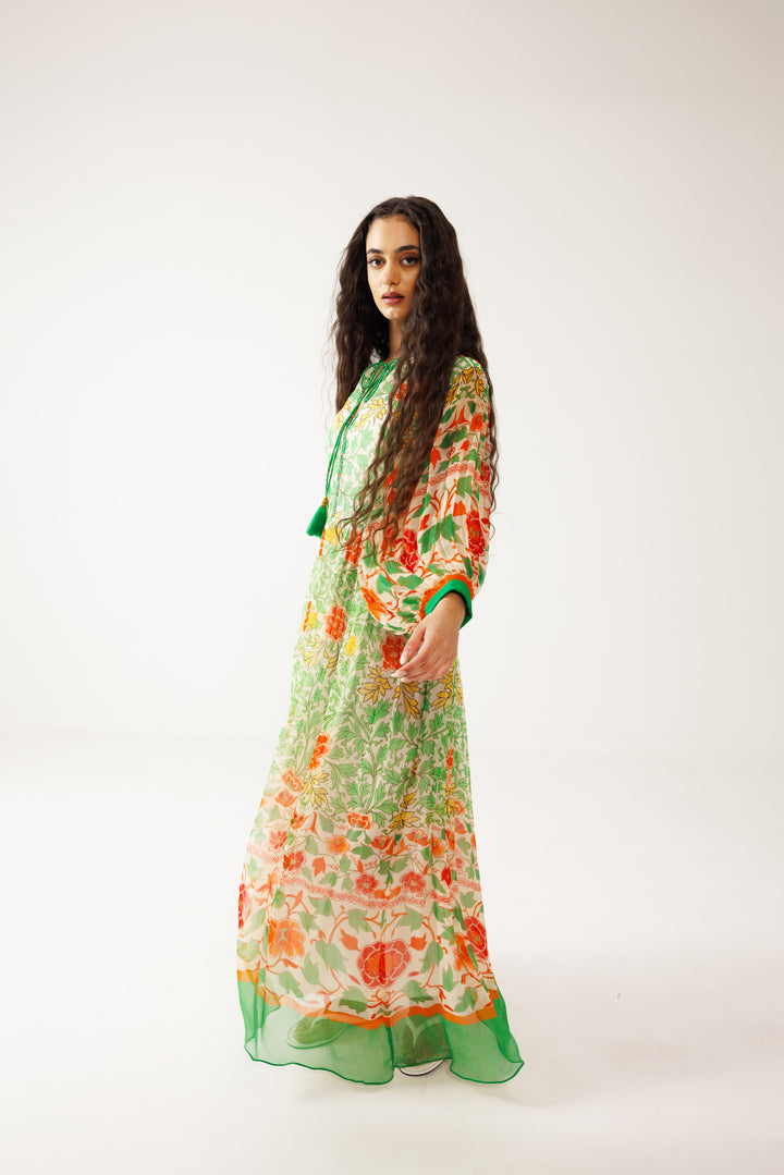 Harita Long Dress