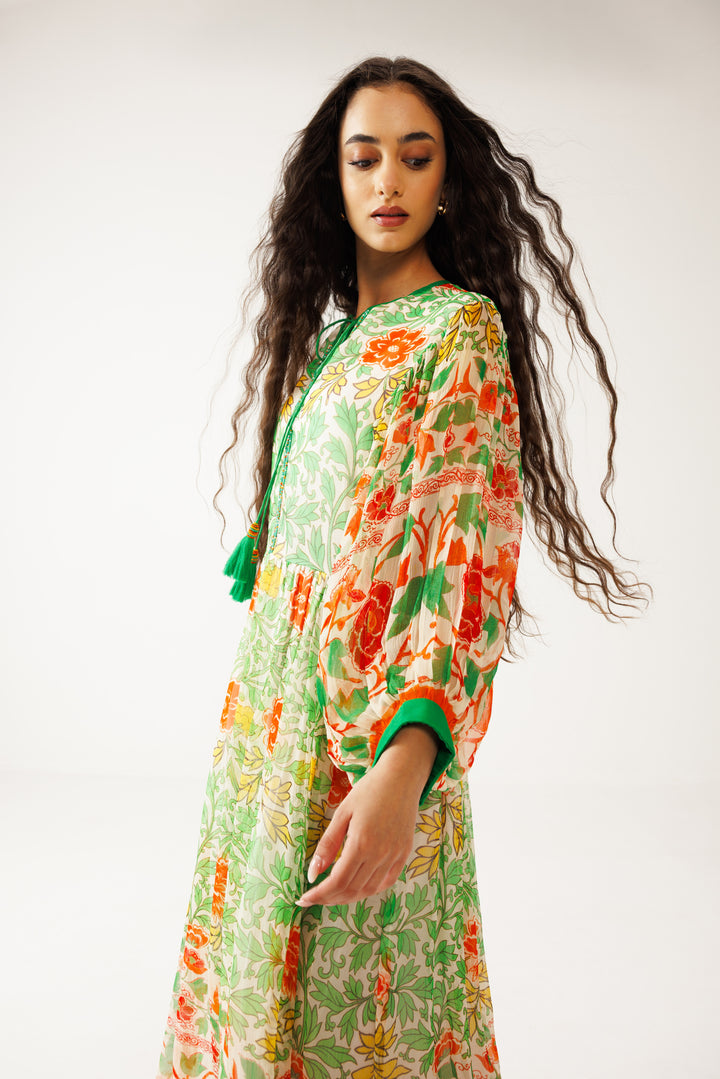 Harita Long Dress