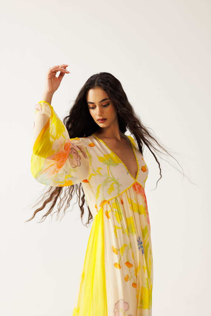 Avni Long Dress
