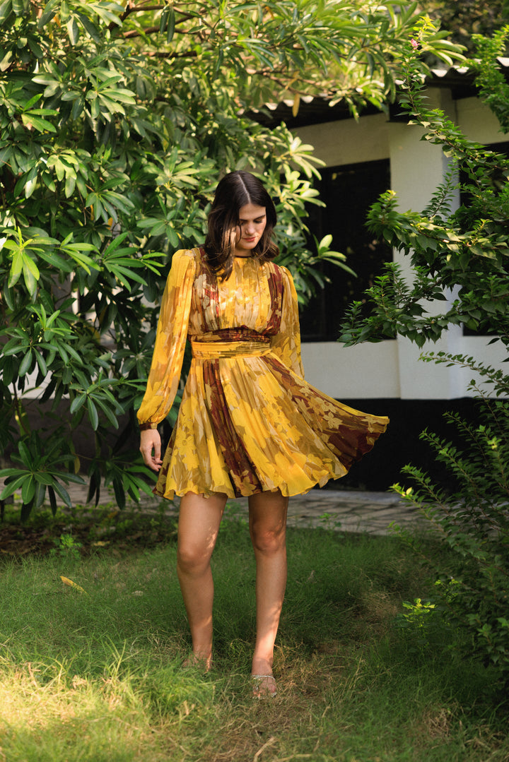 Vanika Ochre Brown Short Dress
