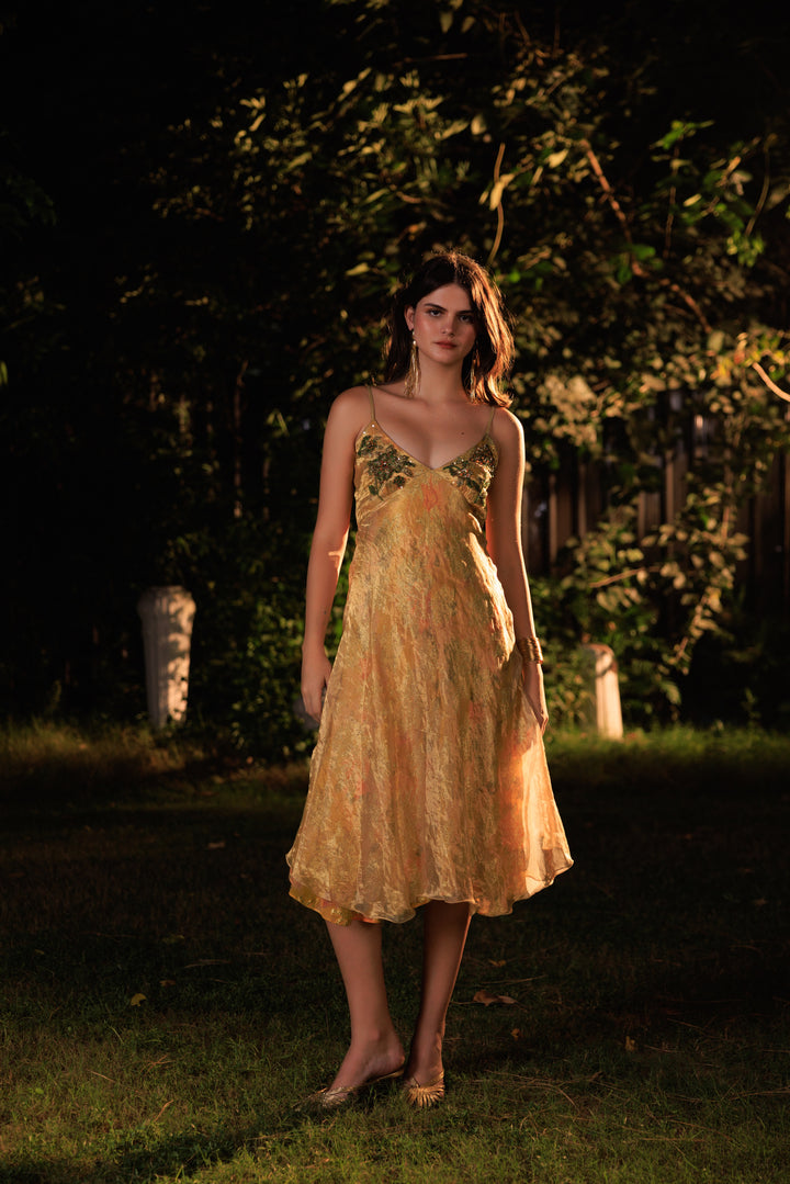 Luna Golden Dress