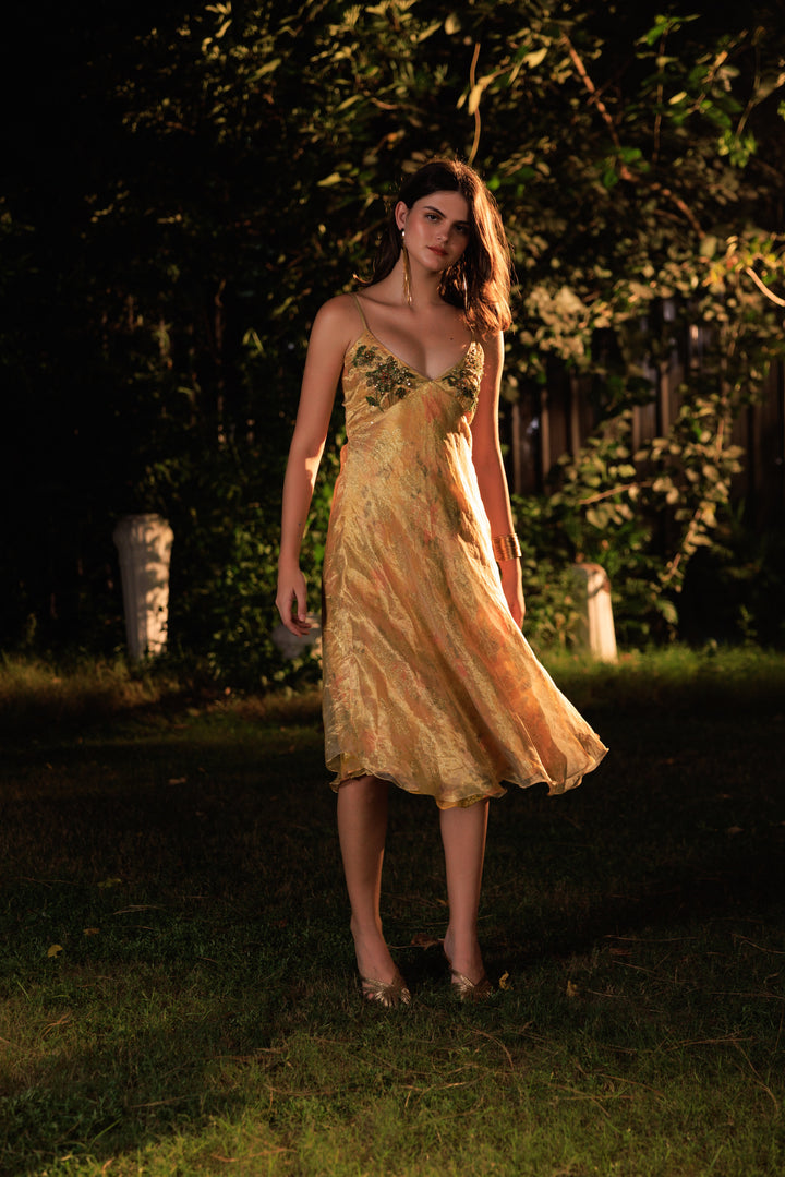 Luna Golden Dress