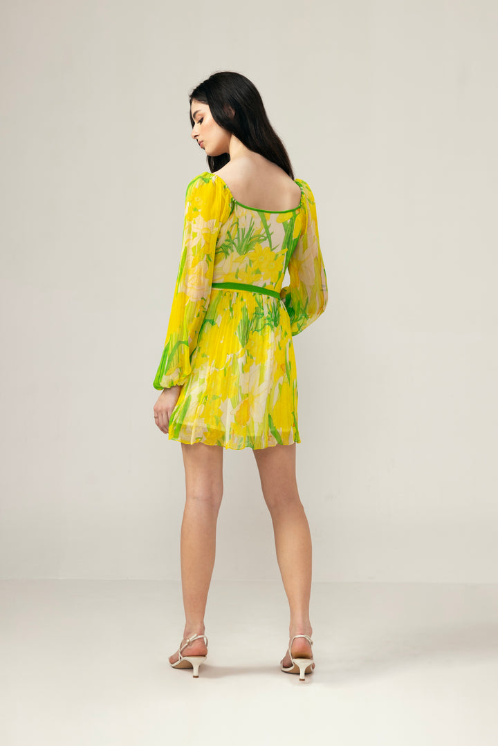Alina short dress
